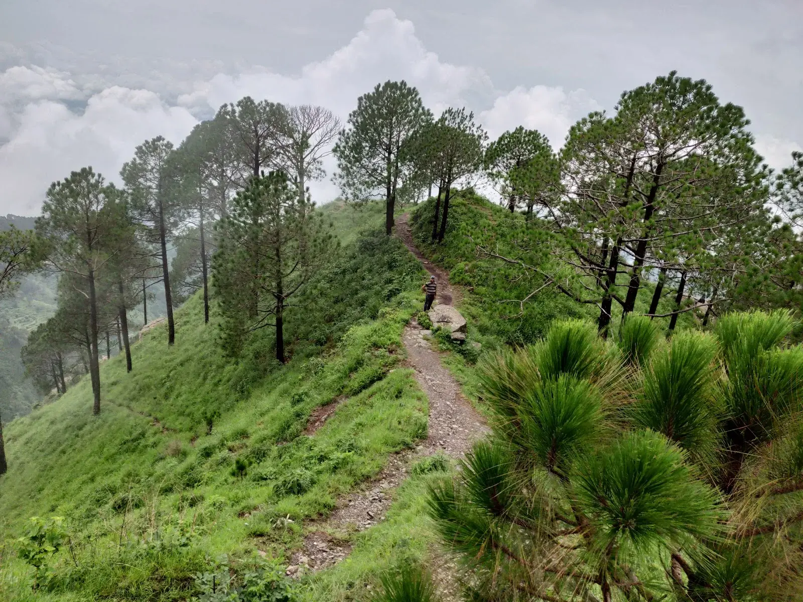 A path along the ridge on Gilbert Trail, Kasauli