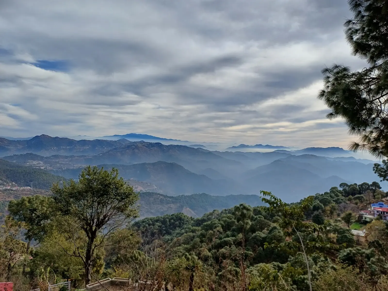 Pine-covered hills around Garkhal and Kasauli